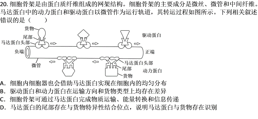 第20题题干