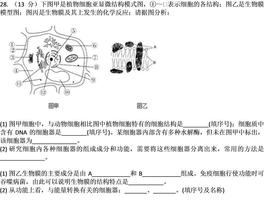 第28题题干