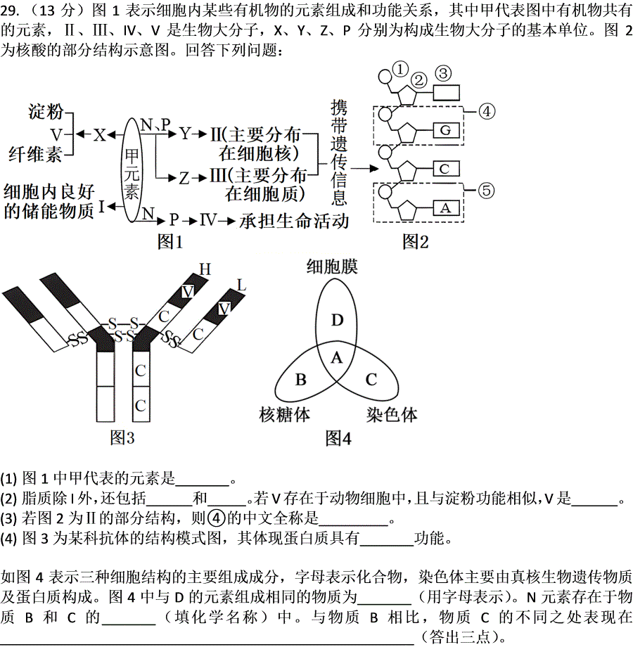第29题题干